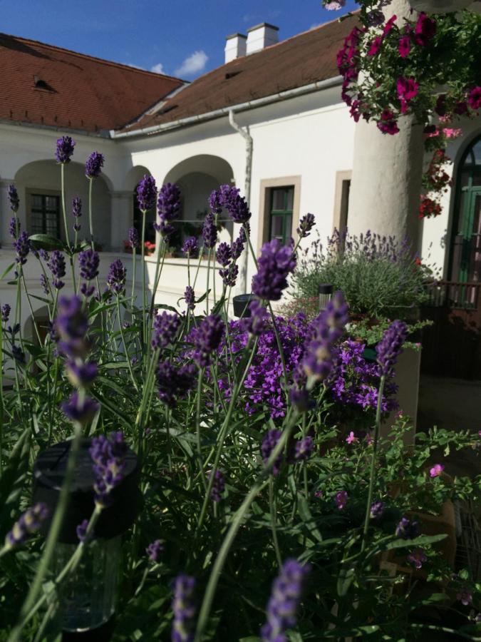Forst-Ház Apartman Eger Esterno foto