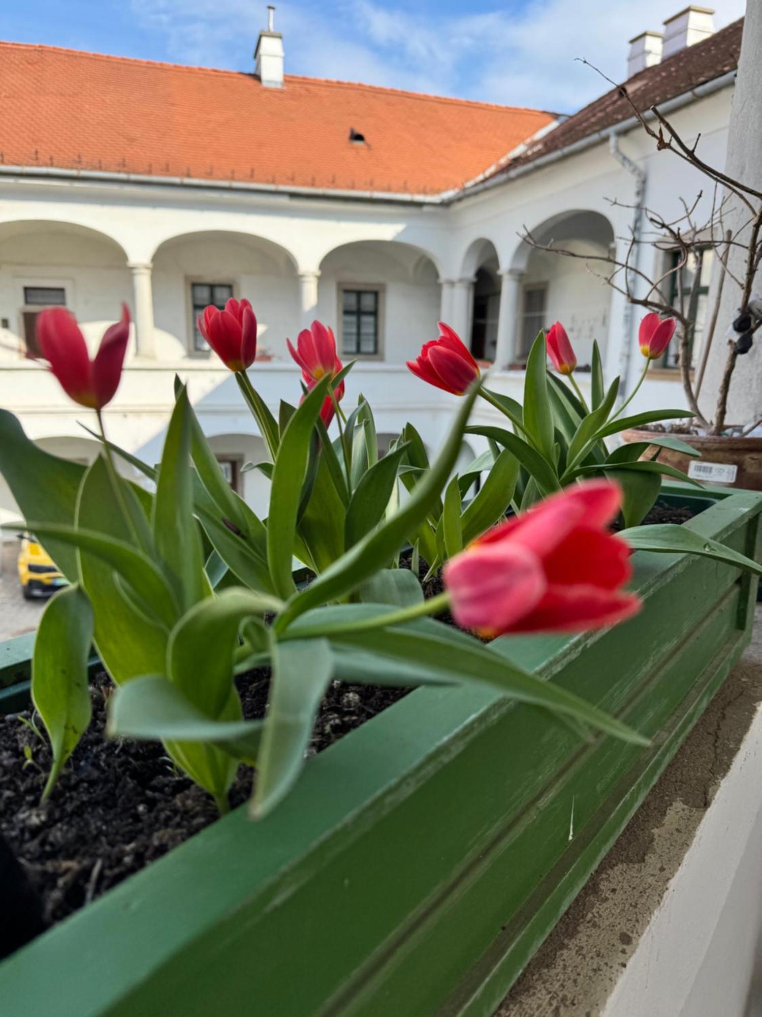 Forst-Ház Apartman Eger Esterno foto